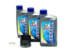 Ecstar R7000 Ölwechselkit